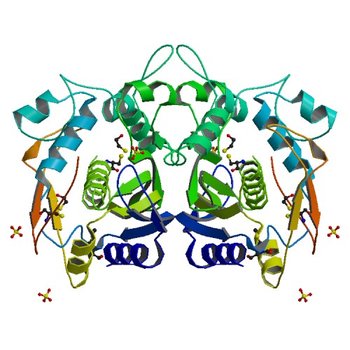 CRYSTAL STRUCTURE ANALYSIS OF CYS167 MUTANT OF ESCHERICHIA COLI WITH UNMODIFIED CATALYTIC CYSTEINE (1EVG)