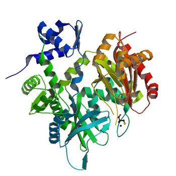 2.3 A structure of putative catechol degradative operon regulator from Rhodococcus sp. RHA1 (2G7U)