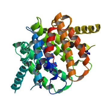 Crystal structure of the 5'-deoxynucleotidase YfbR mutant E72A complexed with Co(2+) and dAMP (2PAU)