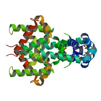 Crystal structure of putative transcriptional regulator SCO4942 from Streptomyces coelicolor (2PZ9)