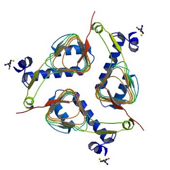 Crystal Structure of the galactoside O-acetyltransferase from Staphylococcus aureus (3FTT)