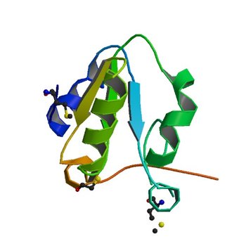 Crystal Structure of Rhodanese-like Domain Protein from Staphylococcus aureus (3IWH)