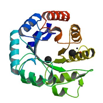 Crystal structure of a putative 4-hydroxy-2-oxoglutarate aldolase from Bacillus cereus (3N73)