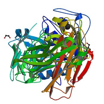 Crystal structure of Der p 1 complexed with Fab 4C1 (3RVW)