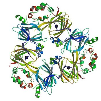 Crystal structure of Ara h 1 (3S7I)