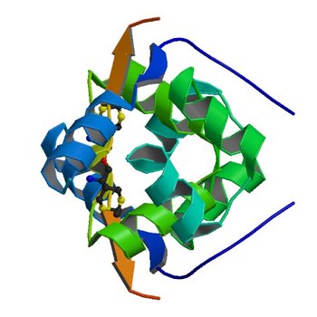 Crystal structure of transcriptional regulator VanUg, Form II (3TYS)