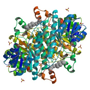 Crystal structure of 3-ketoacyl-(acyl-carrier-protein) reductase (FabG)(G92A) from Vibrio cholerae (3TZK)