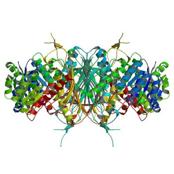 Crystal structure of NAD binding oxidoreductase from Klebsiella pneumoniae (4GQA)