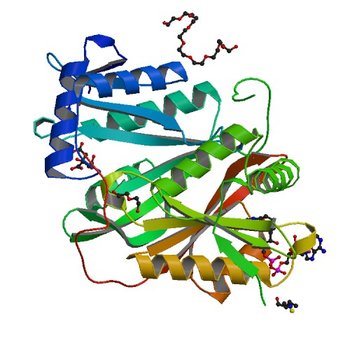 Crystal structure of a GNAT superfamily phosphinothricin acetyltransferase (Pat) from Sinorhizobium meliloti in complex with AcCoA (4JXR)