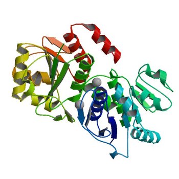 Crystal structure of C103A mutant of DJ-1 superfamily protein STM1931 from Salmonella typhimurium (4K2H)