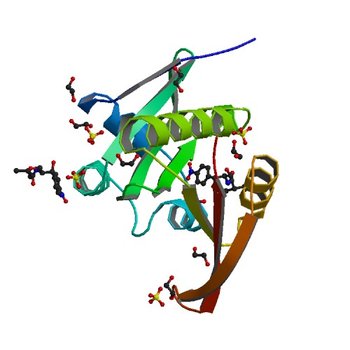 Crystal structure of a GNAT superfamily acetyltransferase PA4794 in complex with chloramphenicol (4OAD)