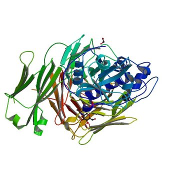 The crystal structure of Der p 1 allergen complexed with Fab fragment of mAb 5H8 (4PP1)