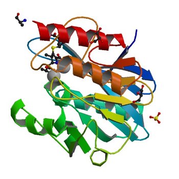 Crystal structure of NDM-1 in complex with hydrolyzed meropenem - new refinement (5N0H)