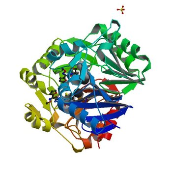 Crystal structure of NDM-1 in complex with hydrolyzed cefuroxime - new refinement (5O2E)