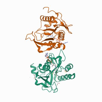 Structure of the E102A mutant of a GNAT superfamily PA3944 acetyltransferase (7KPP)