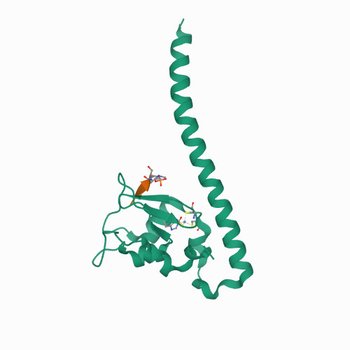 Crystal structure of human Survivin bound to histone H3 T3phK4me2 peptide (7LBQ)