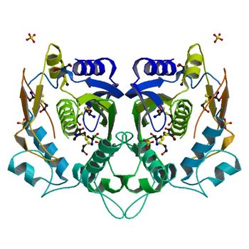 CRYSTAL STRUCTURE ANALYSIS OF CYS167 MUTANT OF ESCHERICHIA COLI (1EVF)