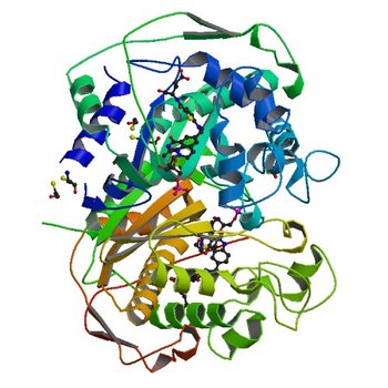 Human thymidylate synthase complexed with dUMP and Raltitrexed, an antifolate drug, is in the closed conformation (1HVY)