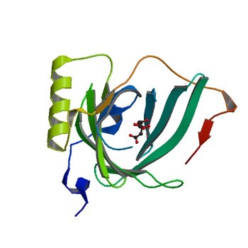 Crystal Structure of Human Complement Protein C8gamma at 1.2 A Resolution (1LF7)