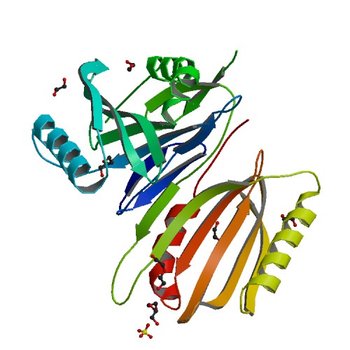 Crystal Structure of Protein of Unknown Function PA94 from Pseudomonas aeruginosa, Putative Regulator (1TU1)