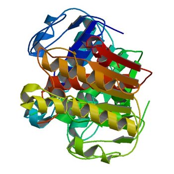 1.5 A Crystal Structure of a Protein of Unknown Function PA4017 from Pseudomonas aeruginosa PAO1, Possible Epimerase (2A35)