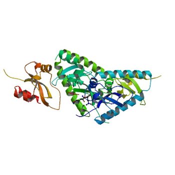 Tandem chromodomains of human CHD1 complexed with Histone H3 Tail containing trimethyllysine 4 (2B2W)