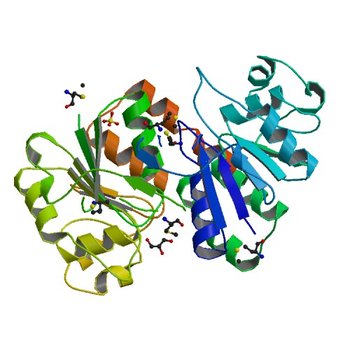 The Crystal Structure of DJ-1 Superfamily Protein Atu0886 from Agrobacterium tumefaciens (2FEX)