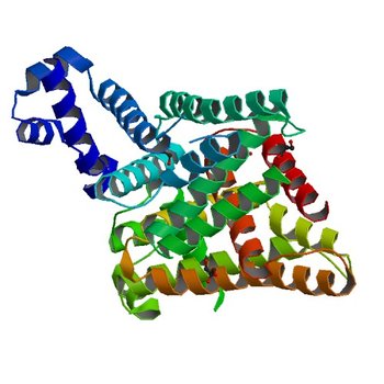 Crystal structure of putative TetR-family transcriptional regulator from Rhodococcus sp. (2G3B)