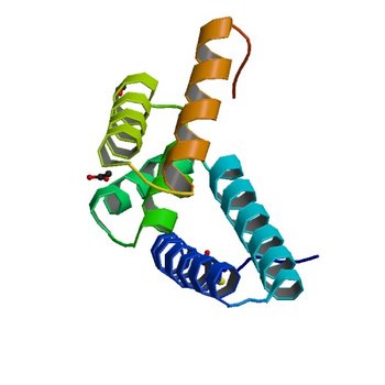 Crystal Structure of the Protein RPA1889 from Rhodopseudomonas palustris CGA009 (2I9C)