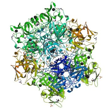 Crystal structure of TM1086 (3DCL)