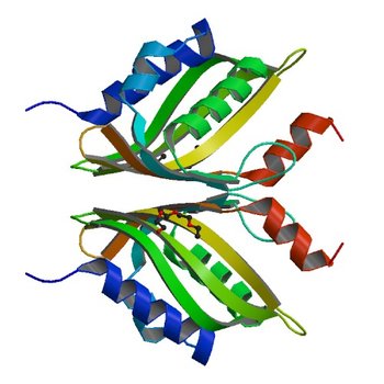 Crystal Structure of Putative Isomerase from Rhodopseudomonas palustris (3DM8)