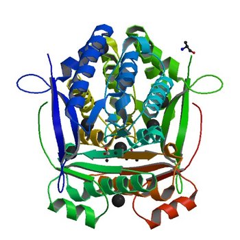 Crystal structure of putative diguanylate cyclase/phosphodiesterase from Listaria monocytigenes (3KZP)