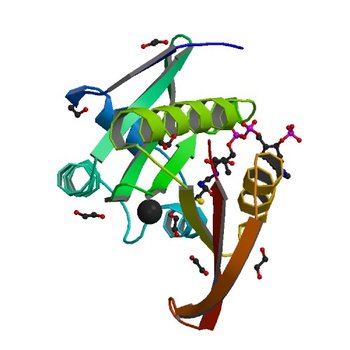 Crystal structure of PA4794 - GNAT superfamily protein in complex with AcCoA (3PGP)