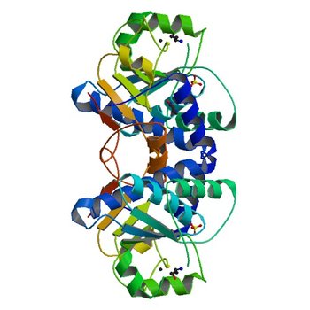 Crystal Structure of Mouse Apolipoprotein A-I Binding Protein in Complex with Thymine. (3RO7)