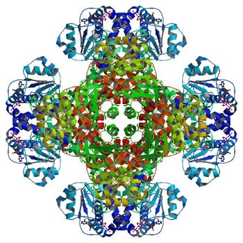 Crystal structure of tm0922, a fusion of a domain of unknown function and ADP/ATP-dependent NAD(P)H-hydrate dehydratase from Thermotoga maritima in complex with P1,P4-Di(adenosine-5') tetraphosphate (3RSF)