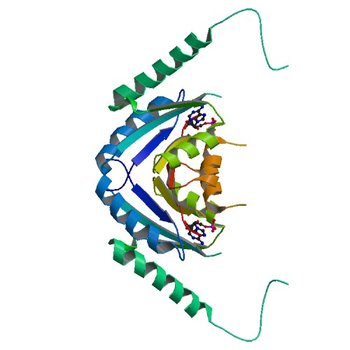 Crystal structure of universal stress protein from Nitrosomonas europaea with AMP bound (3TNJ)