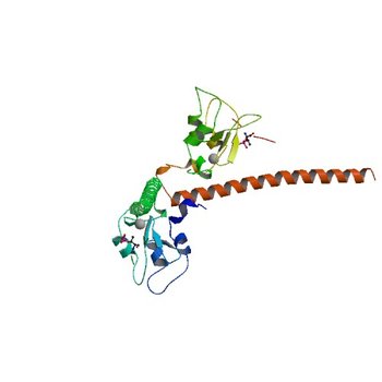 Crystal structure of human Survivin bound to histone H3 phosphorylated on threonine-3 (C2 space group). (3UED)