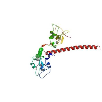 Crystal structure of human Survivin K62A mutant bound to N-terminal histone H3 (3UEE)