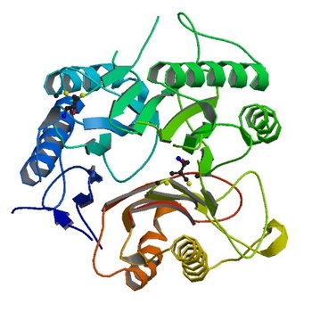 Crystal structure of RutC protein a member of the YjgF family from E.coli (3V4D)