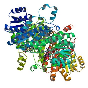 Crystal structure of 3-oxoacyl-[acyl-carrier protein]reductase (FabG)from Listeria monocytogenes in complex with NADP+ (4JRO)