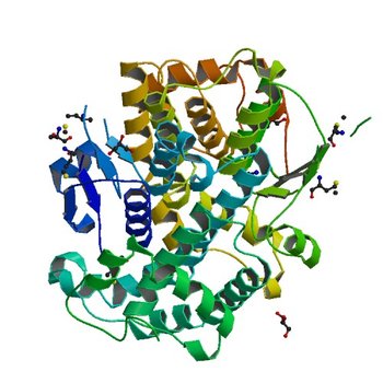 Crystal structure of glutathione S-transferase from Sinorhizobium meliloti 1021, NYSGRC target 021389 (4MDC)