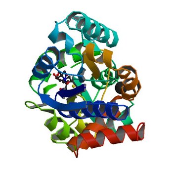 Crystal structure of ABC transporter substrate binding protein ProX from Agrobacterium tumefaciens cocrystalized with BTB (4NE4)