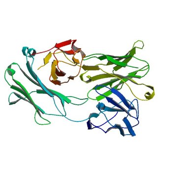 Fab fragment of Der p 1 specific antibody 10B9 (4POZ)