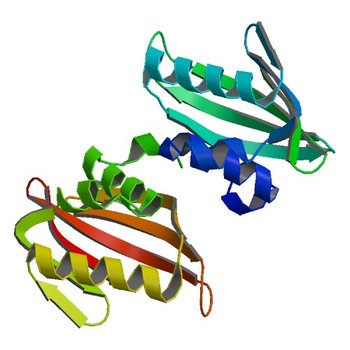 Crystal structure of putative polyketide cyclase (protein SMa1630) from Sinorhizobium meliloti at 2.3 A resolution (4U13)