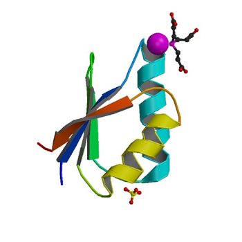 Crystal structure of cisplatin bound to a human copper chaperone (monomer) - new refinement (4YDX)