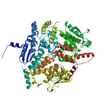 Crystal Structure of a Putative enoyl-CoA hydratase/isomerase family protein from Hyphomonas neptunium (5C9G)