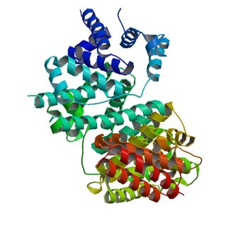 Crystal structure of Equine Serum Albumin (ESA) at pH 9.0 (5HOZ)