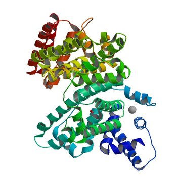 Crystal structure of Human Serum Albumin in the presence of 0.5 mM zinc at pH 9.0 (5IJF)