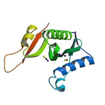 Structure of a GNAT acetyltransferase SACOL1063 from Staphylococcus aureus (5JQ4)