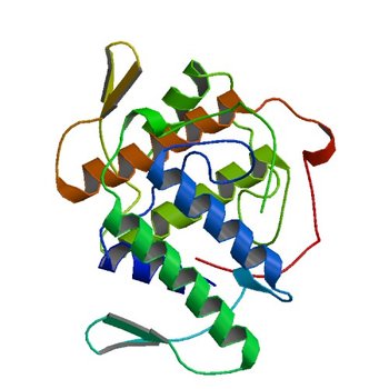 PHOSPHOLIPASE A2, RE-REFINEMENT OF THE PDB STRUCTURE 1JQ8 WITHOUT THE PUTATIVE COMPLEXED OLIGOPEPTIDE (5VET)